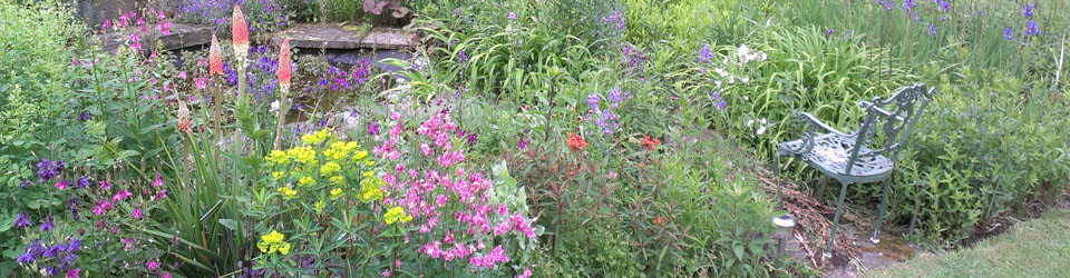TR Tame Gardens